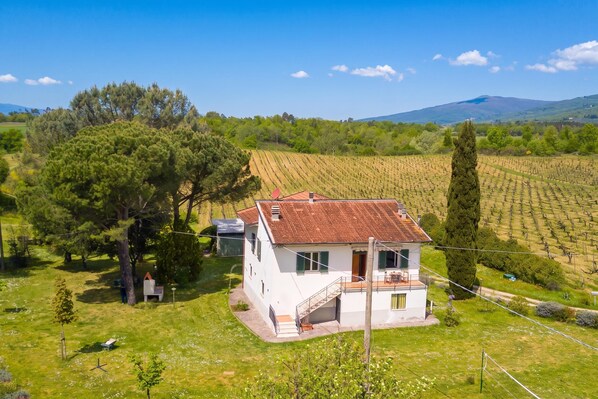 A white house with a red roof, surrounded by a vineyard, with a clear sky above.