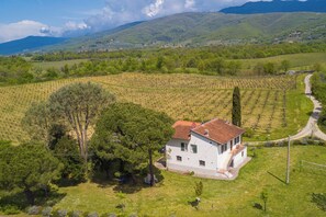 Exterior - Cozy Counrtry House Btn Florence&Arezzo6 (Terranuova Bracciolini)