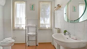 Shower, hair dryer, bidet, towels