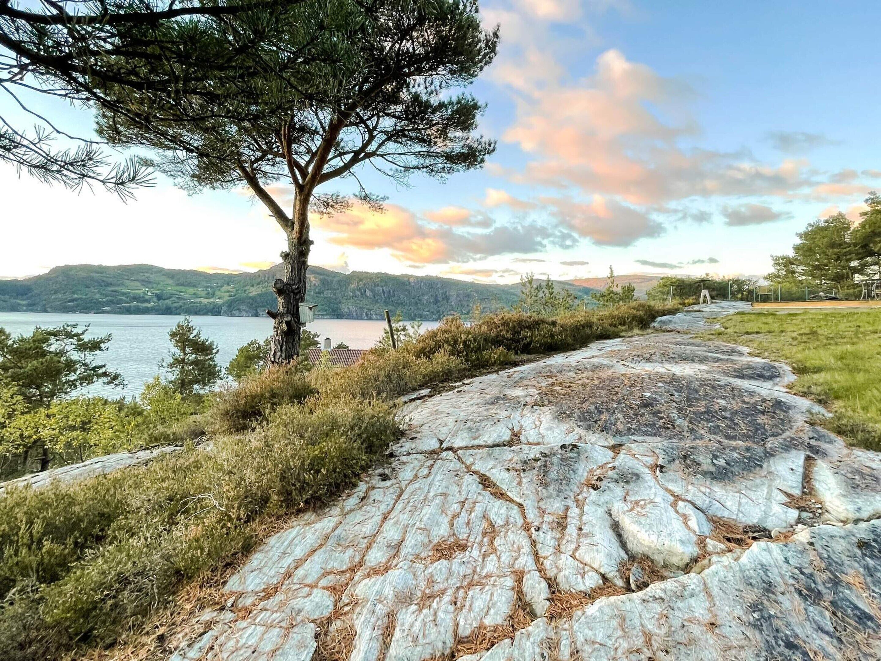 A stone pathway leading to a body of water with a tree on the left and a grassy area on the right.