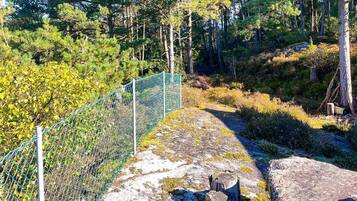 House | Property grounds