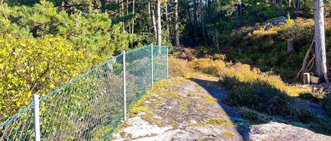 บ้านพัก | บริเวณที่พัก