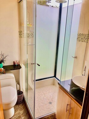 Hair dryer, towels, soap, shampoo