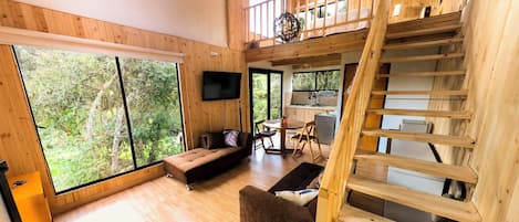 Smart TV, chimenea, reproductor de DVD y libros