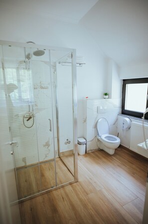 Shower, hair dryer, towels, shampoo - Baile Puturoasa (Vama)