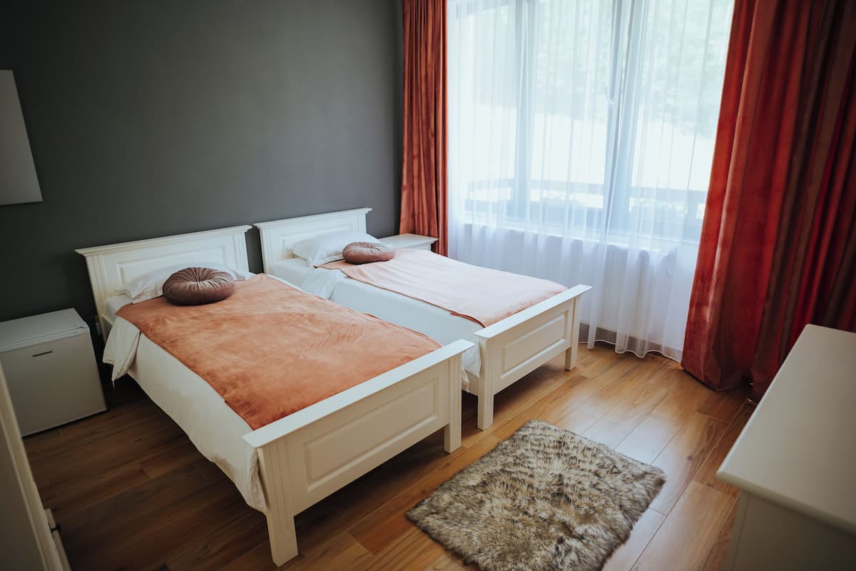 Standard Twin Room, Balcony, Mountain View
