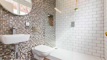 Shower, hair dryer, towels