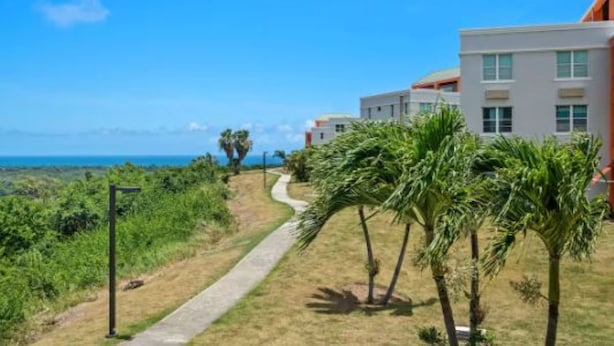 A coastal hotel with a pathway leading to the beach, surrounded by palm trees and modern buildings.