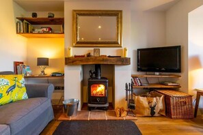 TV, lareira, DVD player