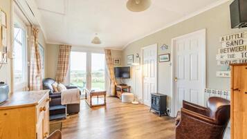 TV, DVD player, books