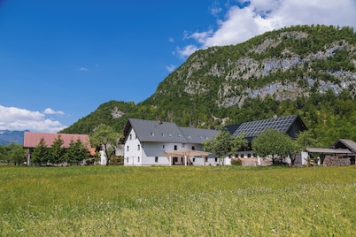 Domačija Log v Bohinju
