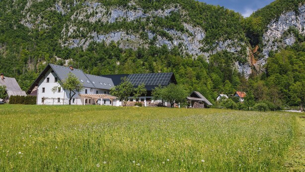 Een huis met een schuin dak, zonnepanelen en een tuin aan de voorkant.