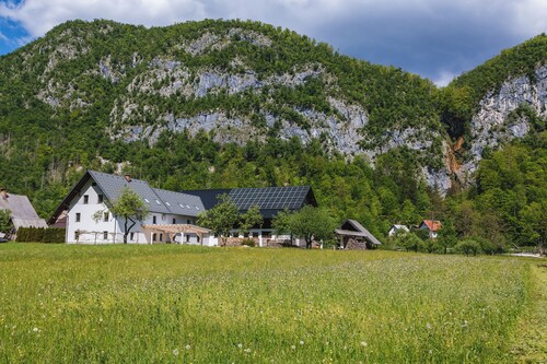 Domačija Log v Bohinju