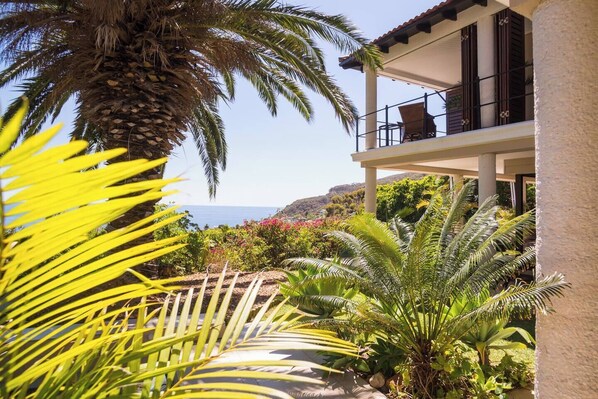 Property grounds - 4-bedroom house in beautiful Llandudno, CapeTown GLORIOUS VIEWS OF THE ATLANTIC (Cape Town)