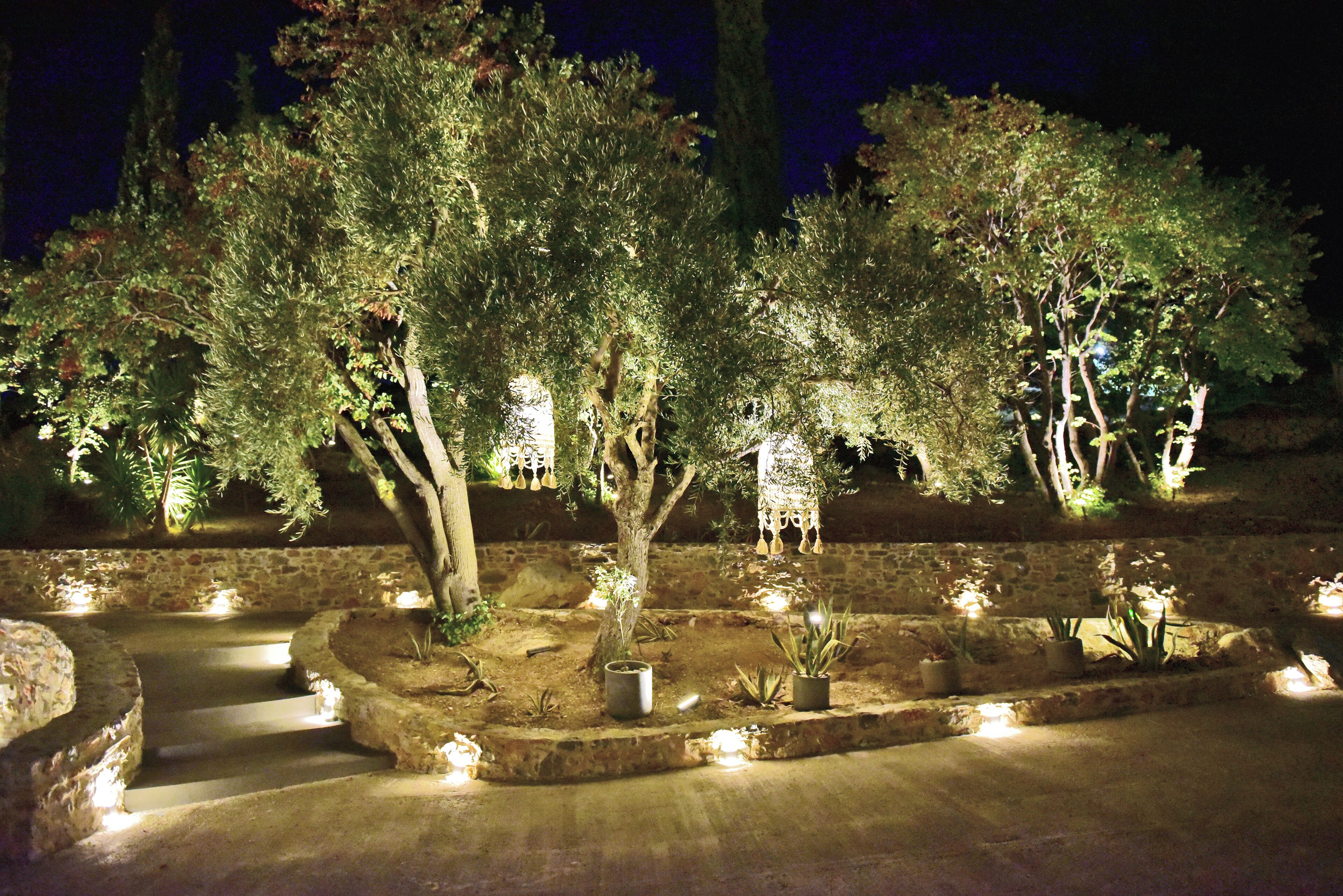 Un jardín nocturno con escalones de piedra, plantas en macetas y árboles iluminados.
