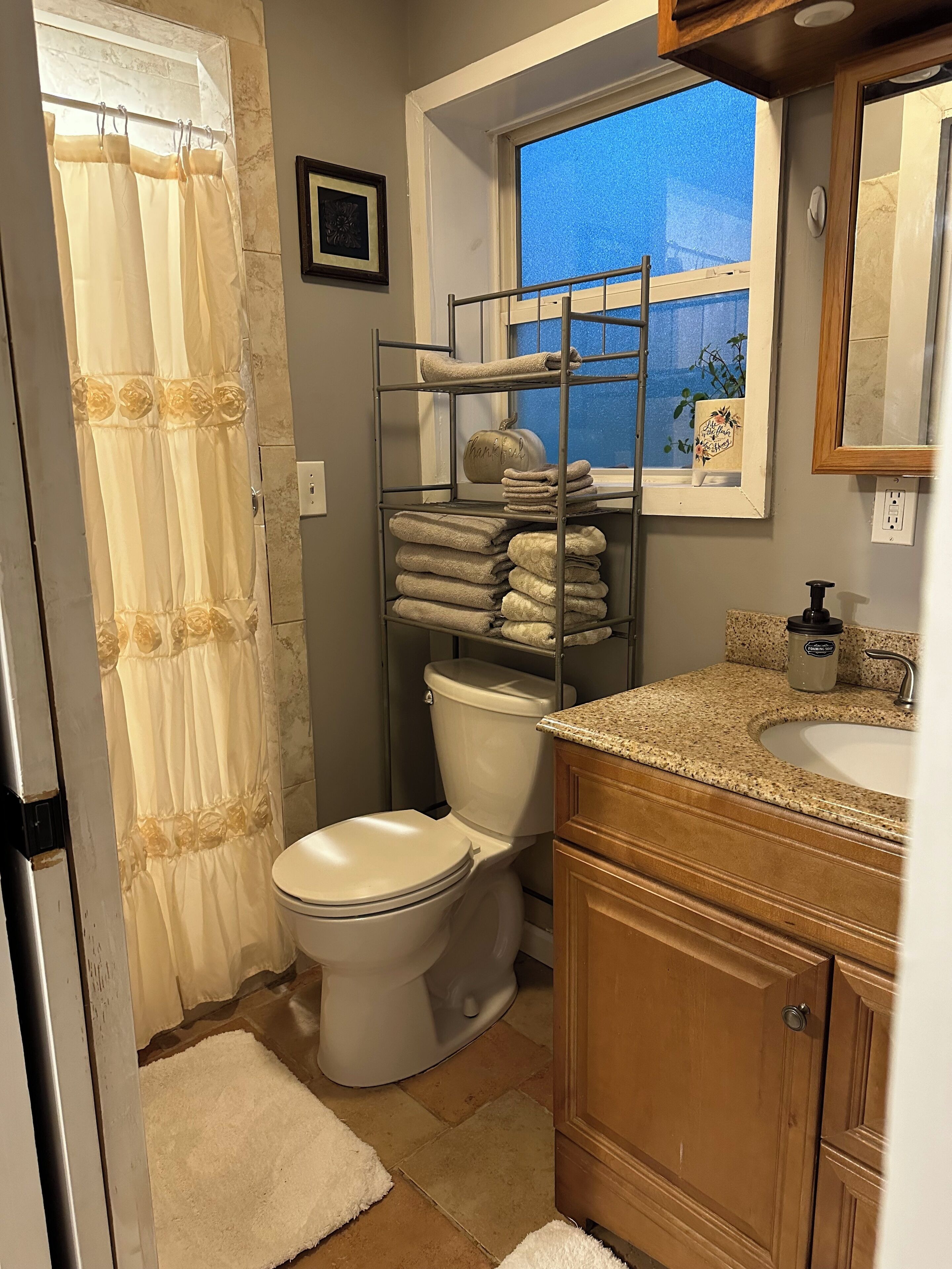 Baño con inodoro, lavabo, cortina de ducha, toallero y ventana con vistas.