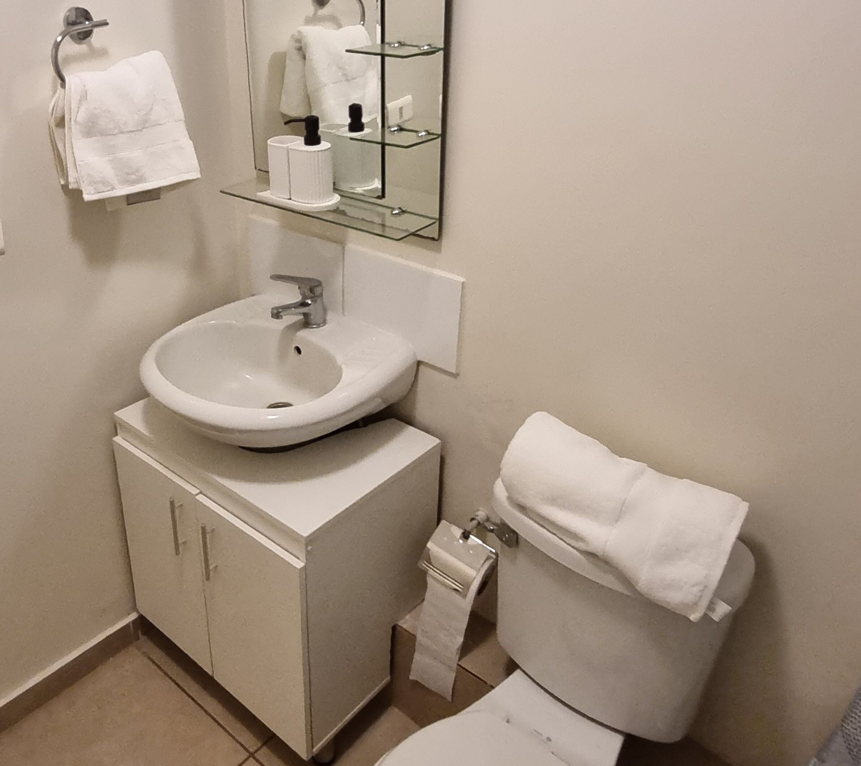 Hair dryer, towels, soap, shampoo