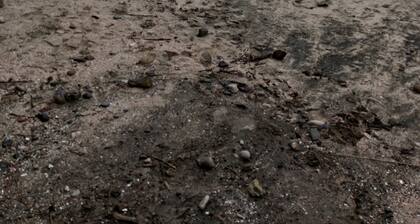 Samara,caimital,Pacific, Costa Rica