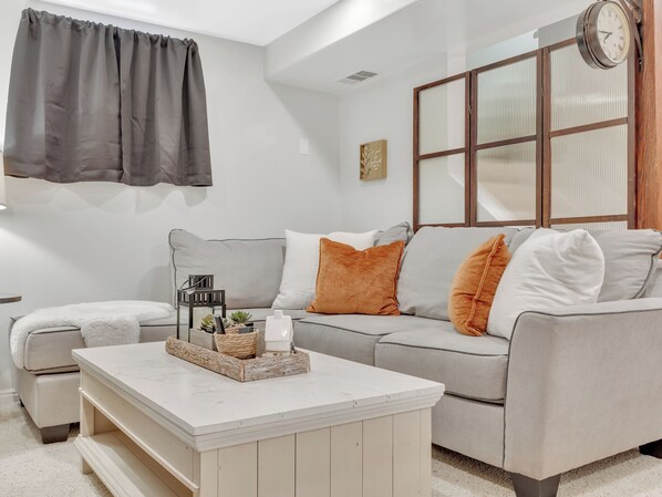 Smart TV, fireplace, DVD player, books