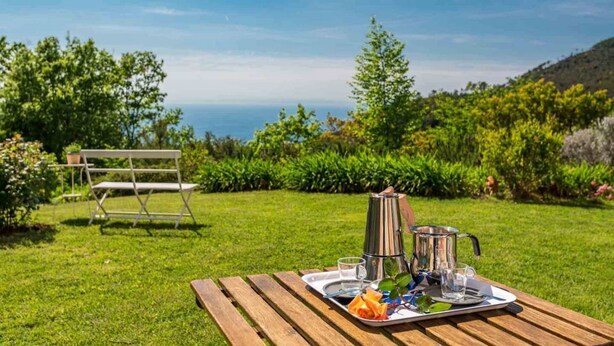 A picnic setup on a wooden table with a tray containing food, drinks, and a coffee pot, set against a backdrop of a grassy area with a bench and trees. - Sea Forest - Ginko, Sea Lands (Bonassola)