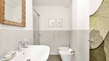 Shower, hair dryer, bidet, towels