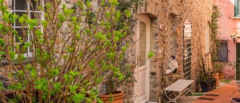A stone building with a door, potted plants, and a bench.