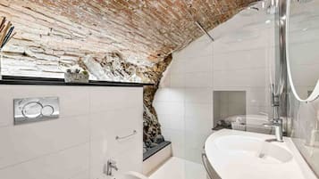 Shower, hair dryer, bidet, towels