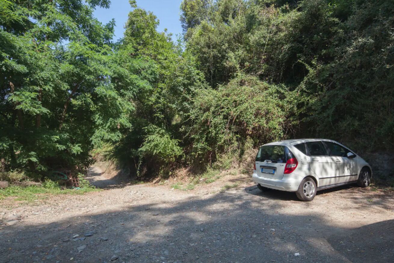 Um carro estacionado em um caminho de terra, cercado por folhagem verde densa.