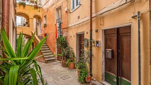 A narrow alleyway with potted plants, a staircase, and a building with a closed door and a mailbox. - La Frida, Marine Lands (Lerici)