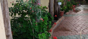 Apartment in villa of the Oranges 300 meters from the beach