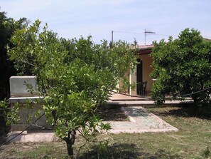 Terras