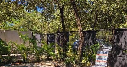 Jungle Beach New Home, 3 Bdrm, 2 Bath, 4 min walk to best beaches with pool