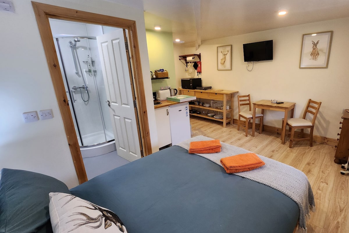 A compact room with a bed, a desk, a chair, and a kitchenette.