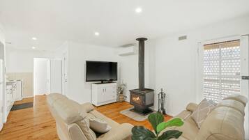 TV, caminetto, libri