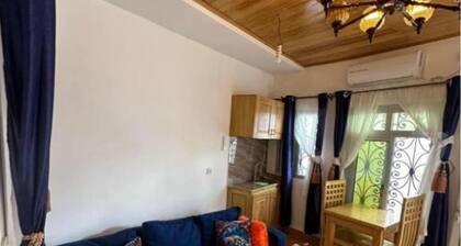 Luxury Terrace Guest House - Standard Studio