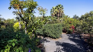 A garden with a gravel path, various plants, and a palm tree. - Home2Book Comfy Cottage Hibiscus, Peace Retreat (La Orotava)
