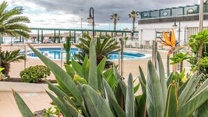 Zona de piscina con vista a un puente, rodeada de palmeras y cactus.