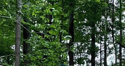 River Life Cabin Rentals: A