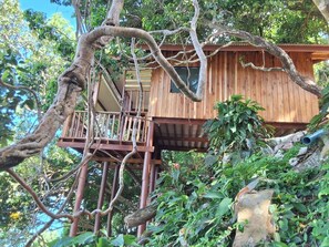 Vue depuis l’hébergement