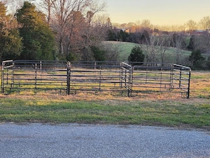 A fenced area with a gravel path in front.