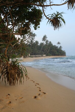 A beach with footprints leading to the water, palm trees, and a clear sky. - The Villa Sea Breeze (Thalpe)