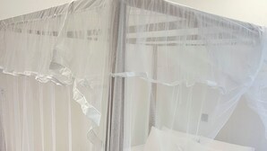 A bed with a mosquito net, a yellow mattress, and white pillows. - The Villa Sea Breeze (Thalpe)