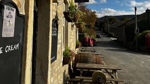 Een sfeervol café genaamd 'New Inn' met een naambord, een naambord waarop staat 'PADDON THE WICKED WEEDS' en 'WE ARE FEEDING THE BEES', en een straatbeeld met een rode auto en een houten kar.