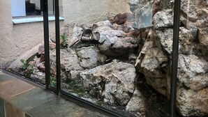 A stone wall with a sun-shaped decoration and a rocky landscape. - Bryanston Luxurious 4-Bed Villa (Sandton)