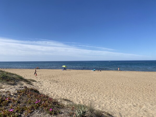 Nära stranden