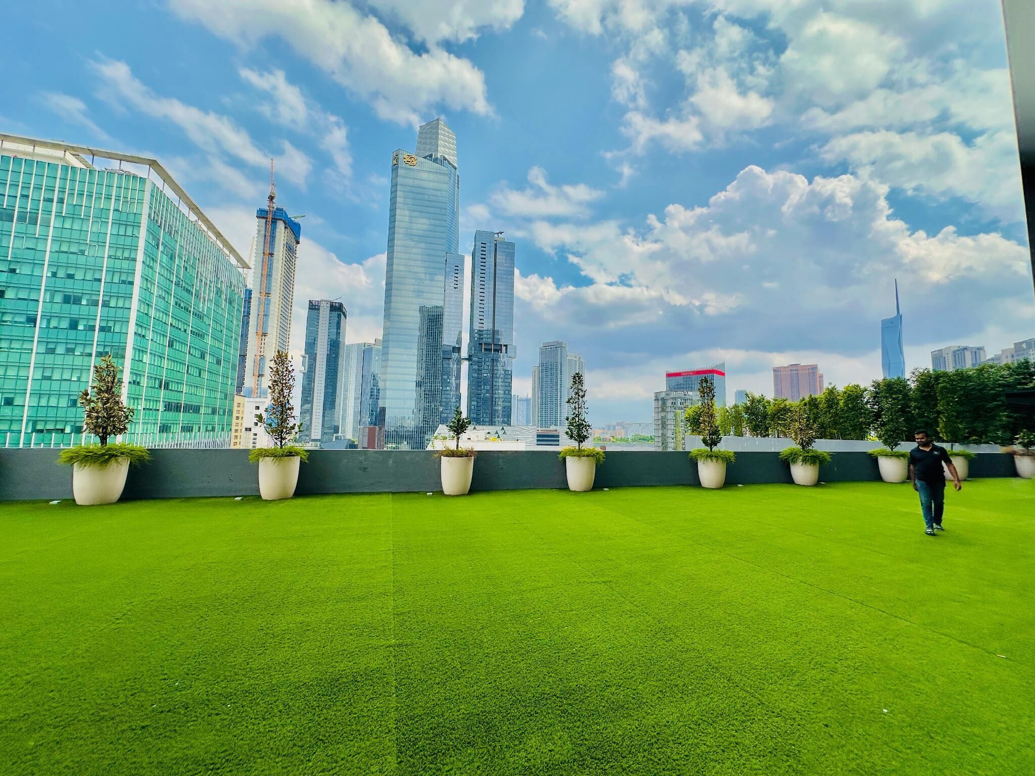 テラス / パティオ