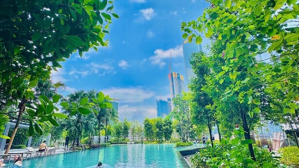 Una piscina rodeada de vegetación exuberante y edificios modernos al fondo.