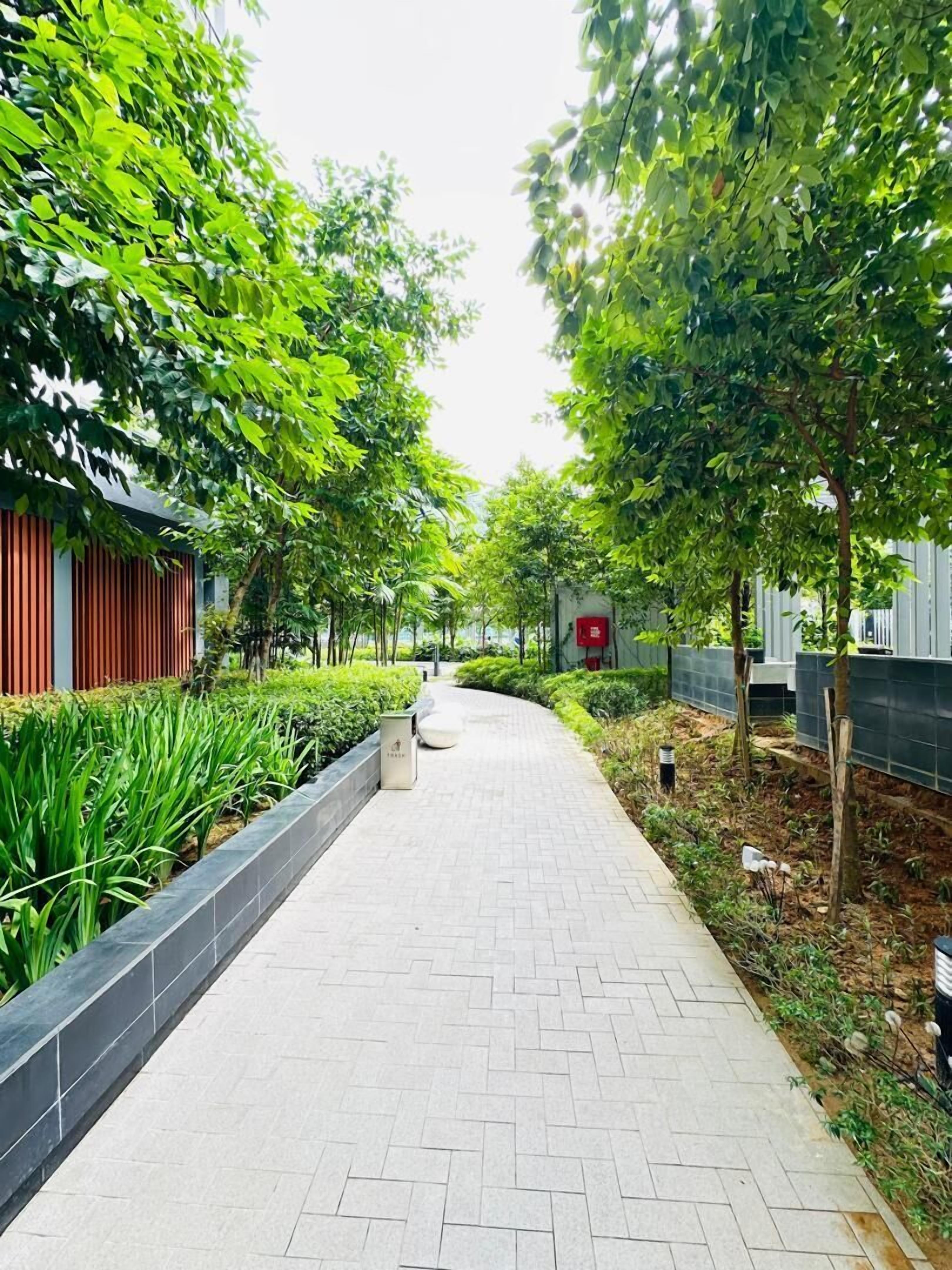 A paved walkway lined with trees and greenery, leading to a building with a red facade.