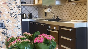 Une cuisine moderne équipée d’un évier, d’une cuisinière et de placards.