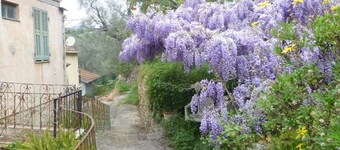 Ligurian rustico, surrounded by olive groves, 10 minutes from the sea.